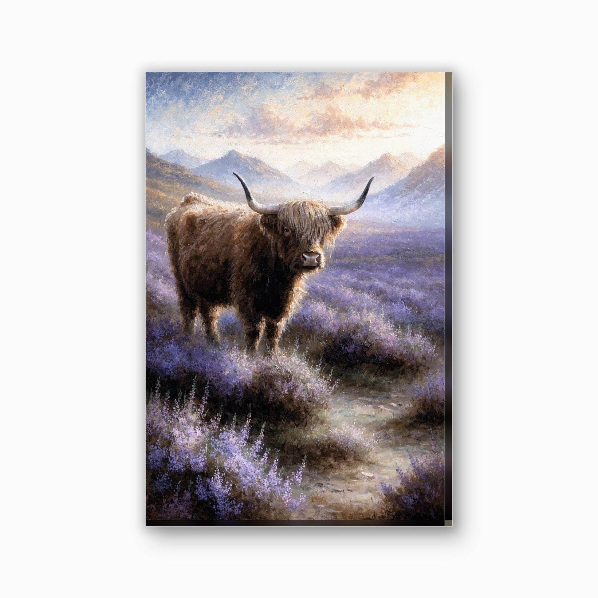 Hooglander in de heide canvas schilderij in paars en goudgeel