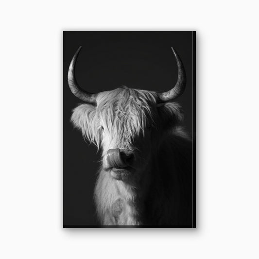 Hooglander in zwart wit canvas schilderij in zwart en wit