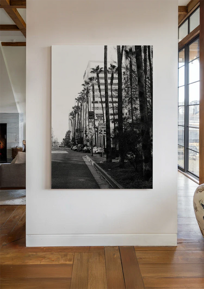 Rodeo Drive Los Angeles Palmen Schwarz-Weiß Boulevard Gemälde
