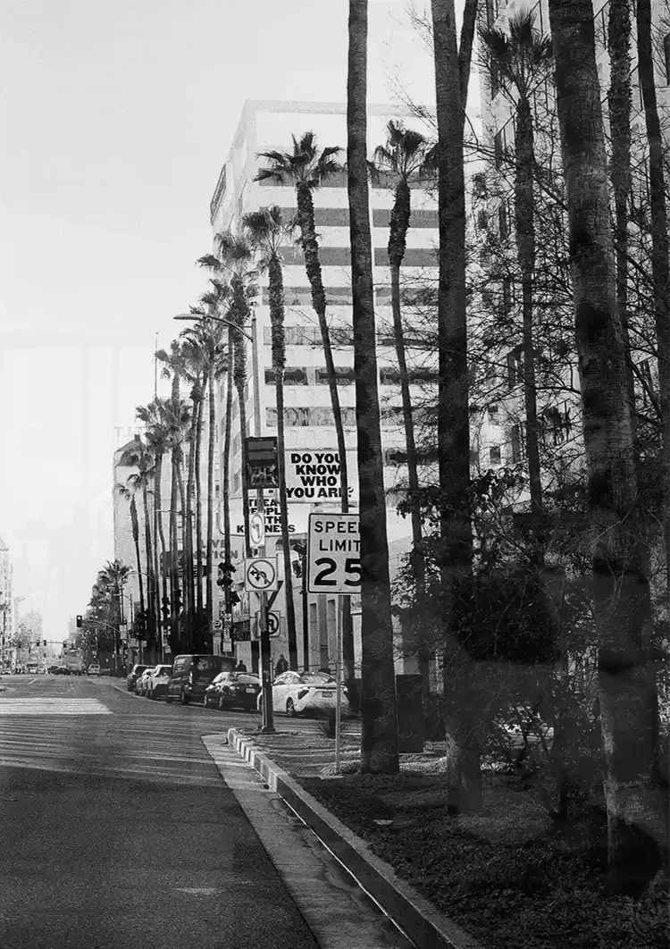 Rodeo Drive Los Angeles Palmen Schwarz-Weiß Boulevard Gemälde