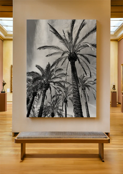 Tall Palm Trees Black White Photography Style Tropical Nature Painting