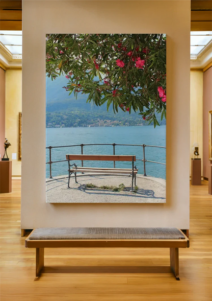 Roze Bloesemboom aan het Meer van Como met Bank en Bergpanorama Schilderij