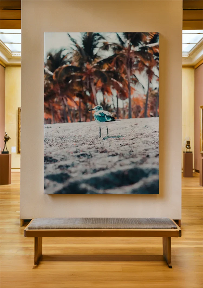 Strandvogel Palmbomen Tropisch Zandstrand Natuur Schilderij