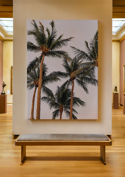 Hohe Palmen von unten weicher Pastellrosa Himmel Gemälde