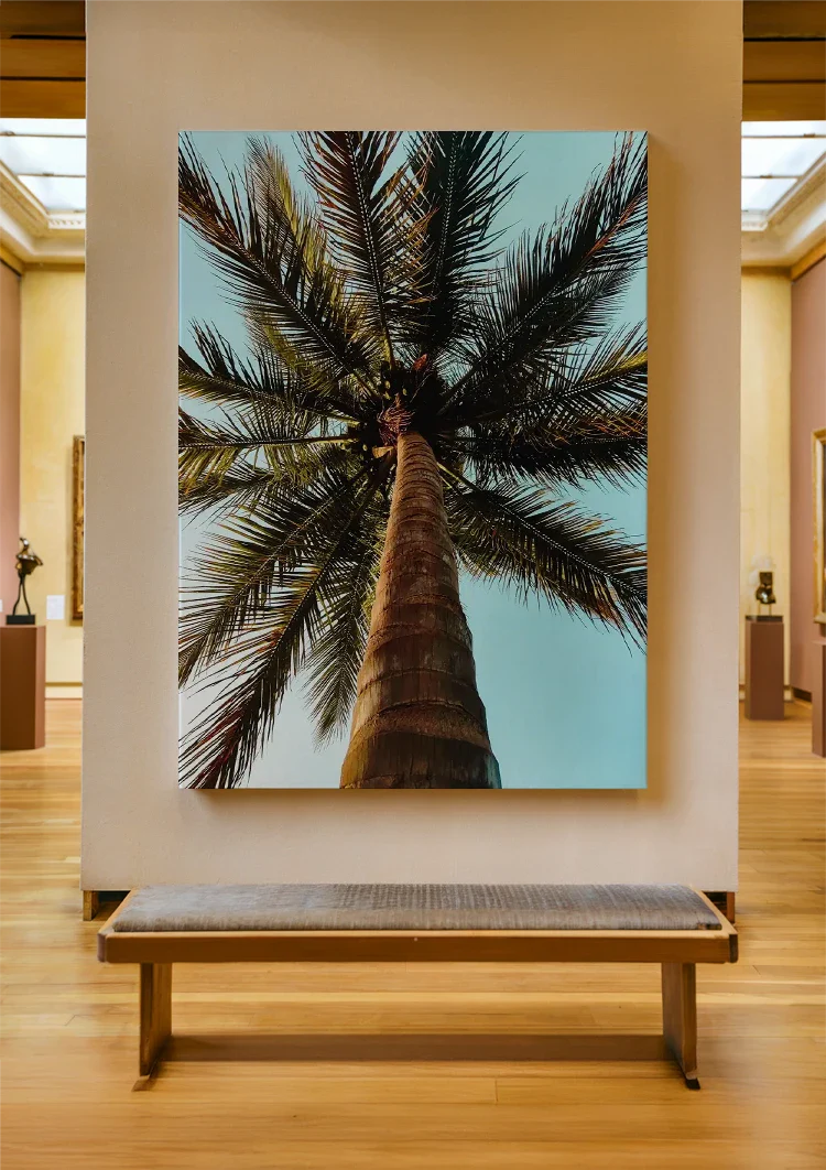 Palme Niedrige Perspektive Blauer Himmel Tropisches Naturgemälde