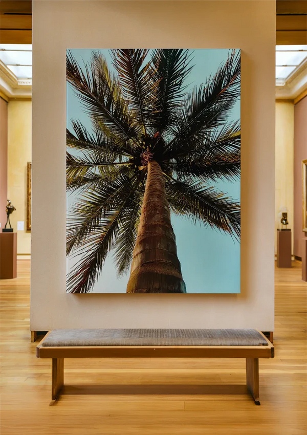 Palme Niedrige Perspektive Blauer Himmel Tropisches Naturgemälde
