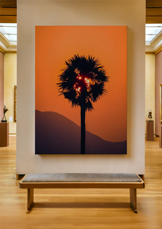 Palmboom silhouet canvas schilderij aan de muur in de hal bij de voordeur