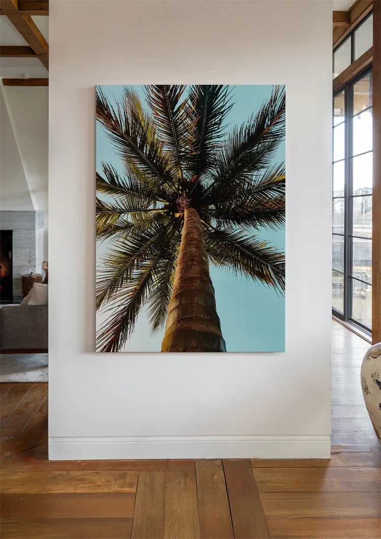 Palme Niedrige Perspektive Blauer Himmel Tropisches Naturgemälde