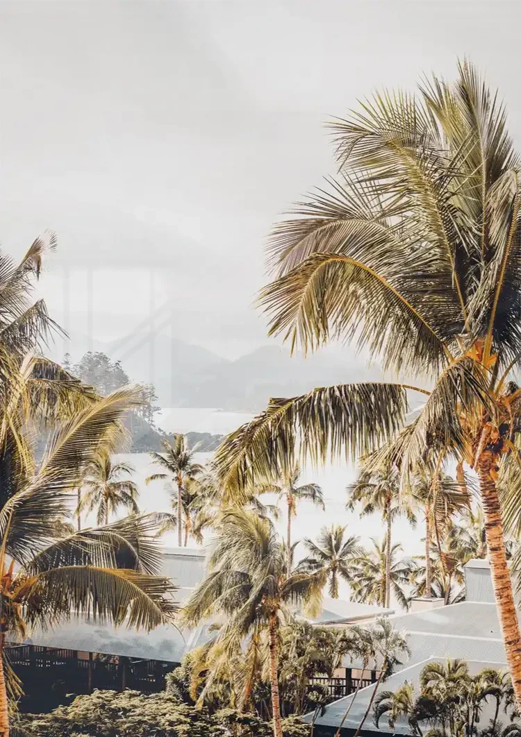 Tropical Palm Trees Soft Air Nature Painting