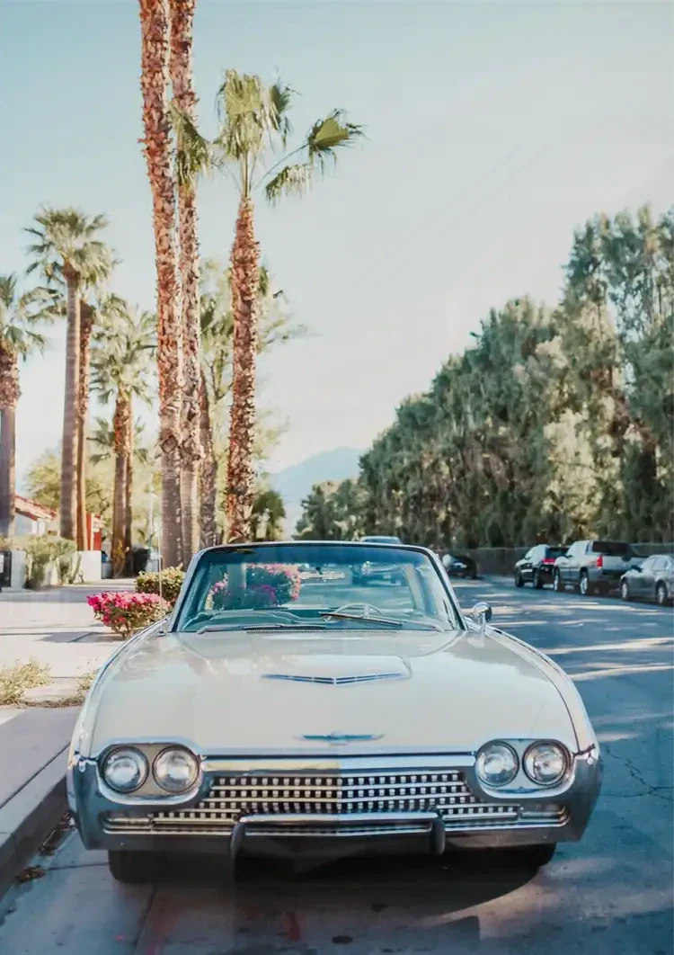 Weißes Vintage-Auto, Palmen, sonnige Straße, Retro-Gemälde