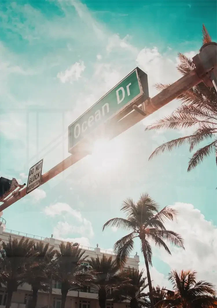 Ocean Drive Straßenschild Palmen Sonnige Himmelsmalerei