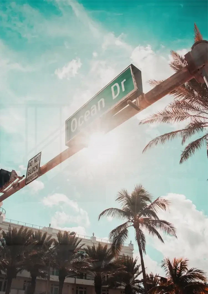 Ocean Drive Straßenschild Palmen Sonnige Himmelsmalerei