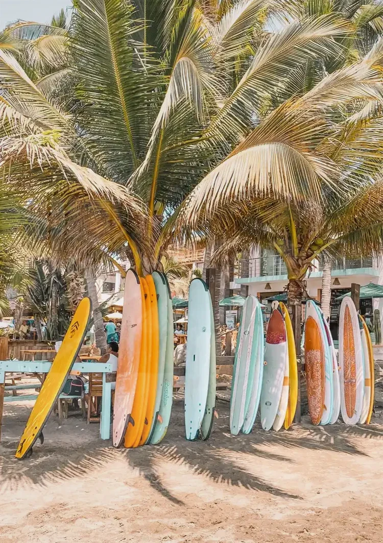 Kleurrijke Surfplanken Palmboom Tropisch Strand Schilderij