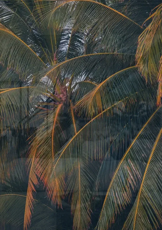 Palmbladeren canvas schilderij aan de muur naast het bed in de slaapkamer