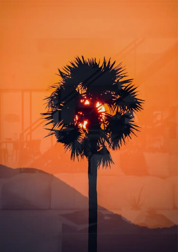 Palm Tree Silhouette Orange Sunset Sun Through Leaves Painting