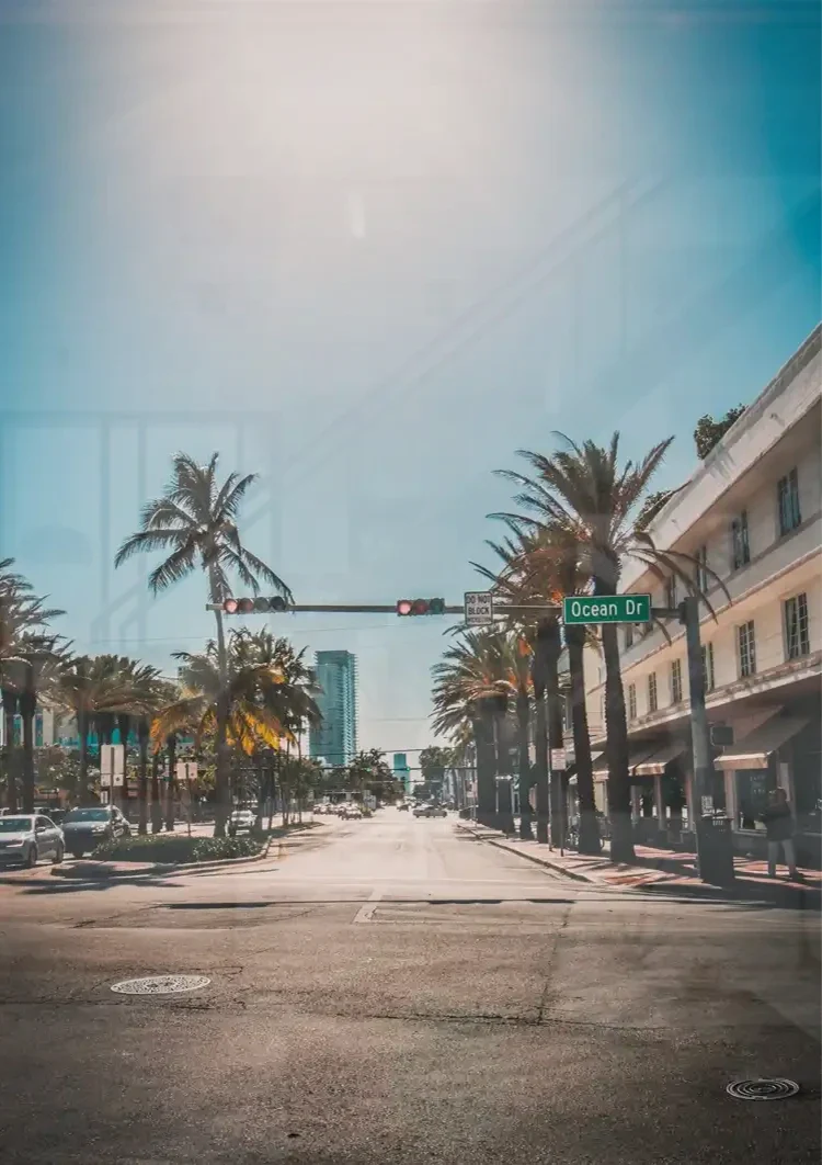 Stiller Boulevard Palmen Ampeln Sonnige Straße Gemälde