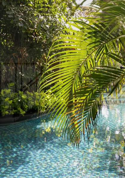 Tropisches Schwimmbad Palmenblätter Klares Wasser Sommergemälde