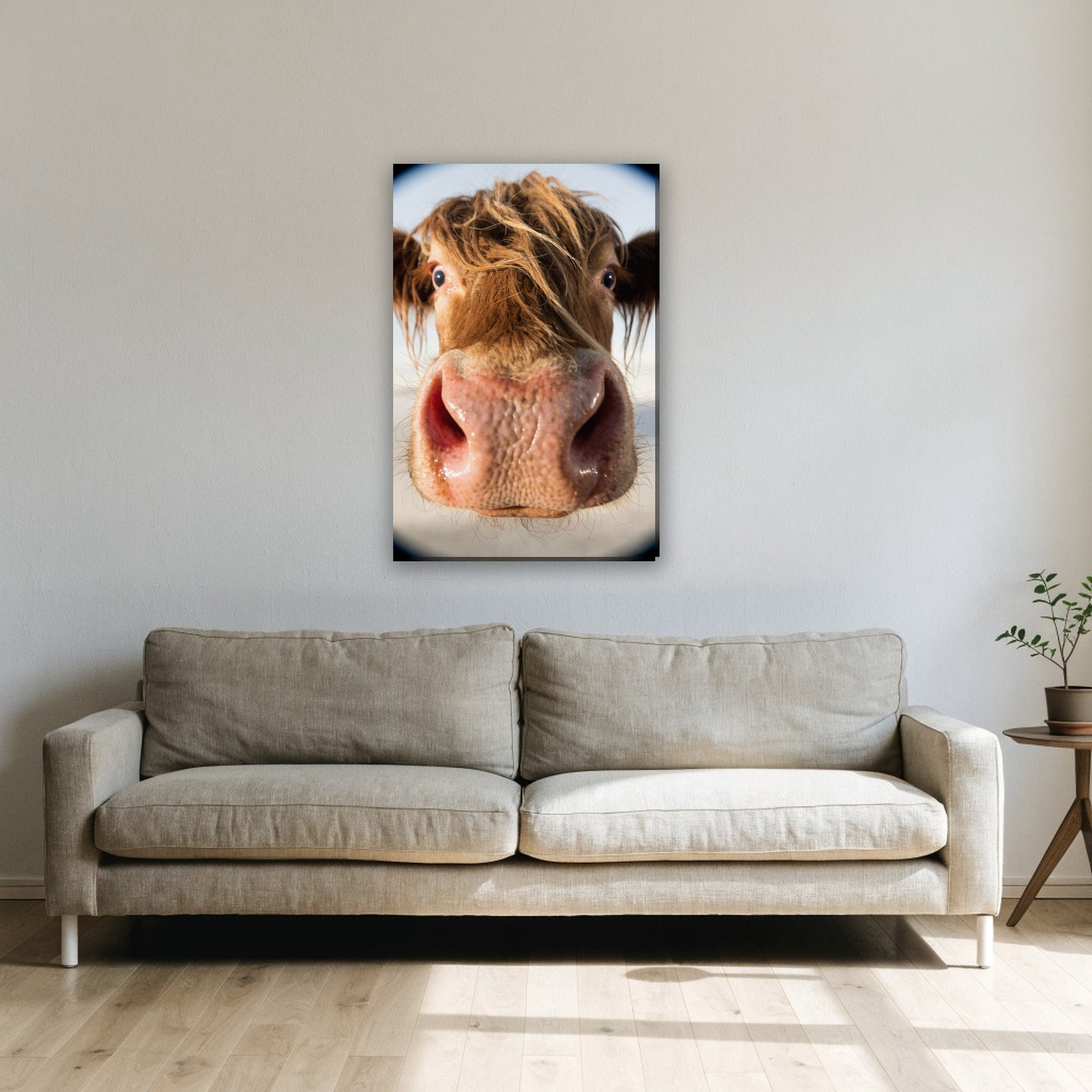 Nieuwsgierige hooglander close-up canvas schilderij aan de muur boven de bank in de woonkamer