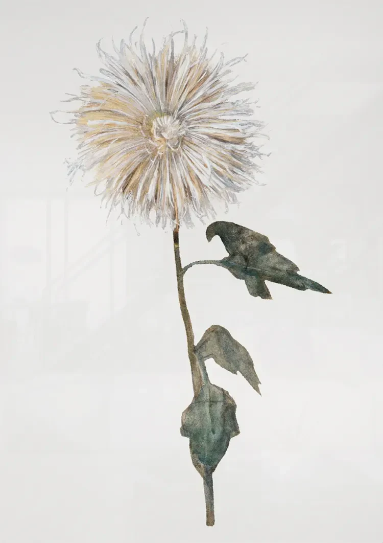Botanical Watercolor Flower on White Background Painting