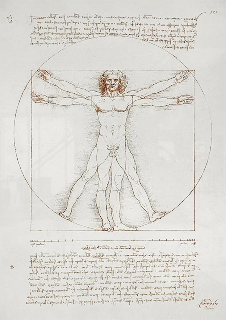 Leonardo Da Vinci Vitruviaanse Man Klassiek Anatomie Schets Schilderij