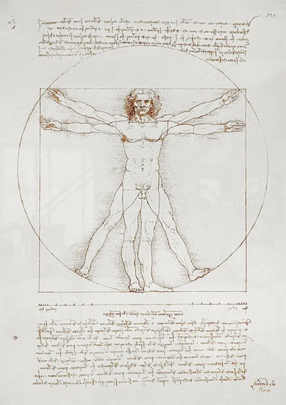 Leonardo Da Vinci Vitruviaanse Man Klassiek Anatomie Schets Schilderij